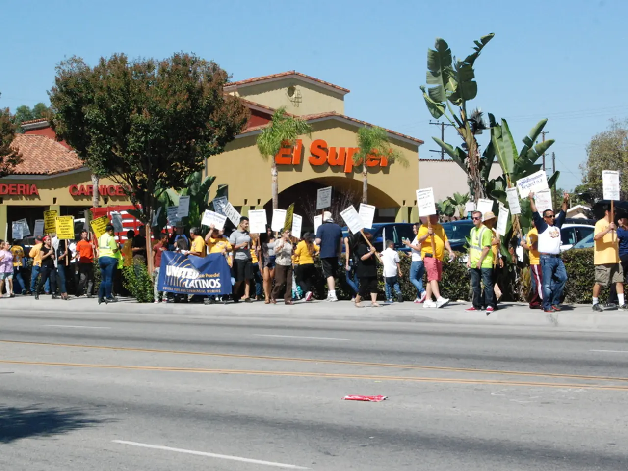 Investigative Study of Branded Survey Services