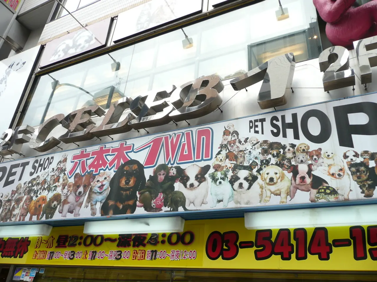 Exploring the Emotional Resonance and Historical Importance of WPA National Park Poster Designs