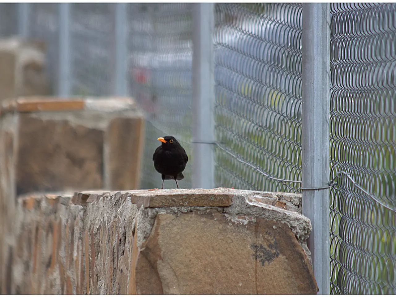 AI Contributes Significantly to Rescuing a Nearly Extinct Bird Species!