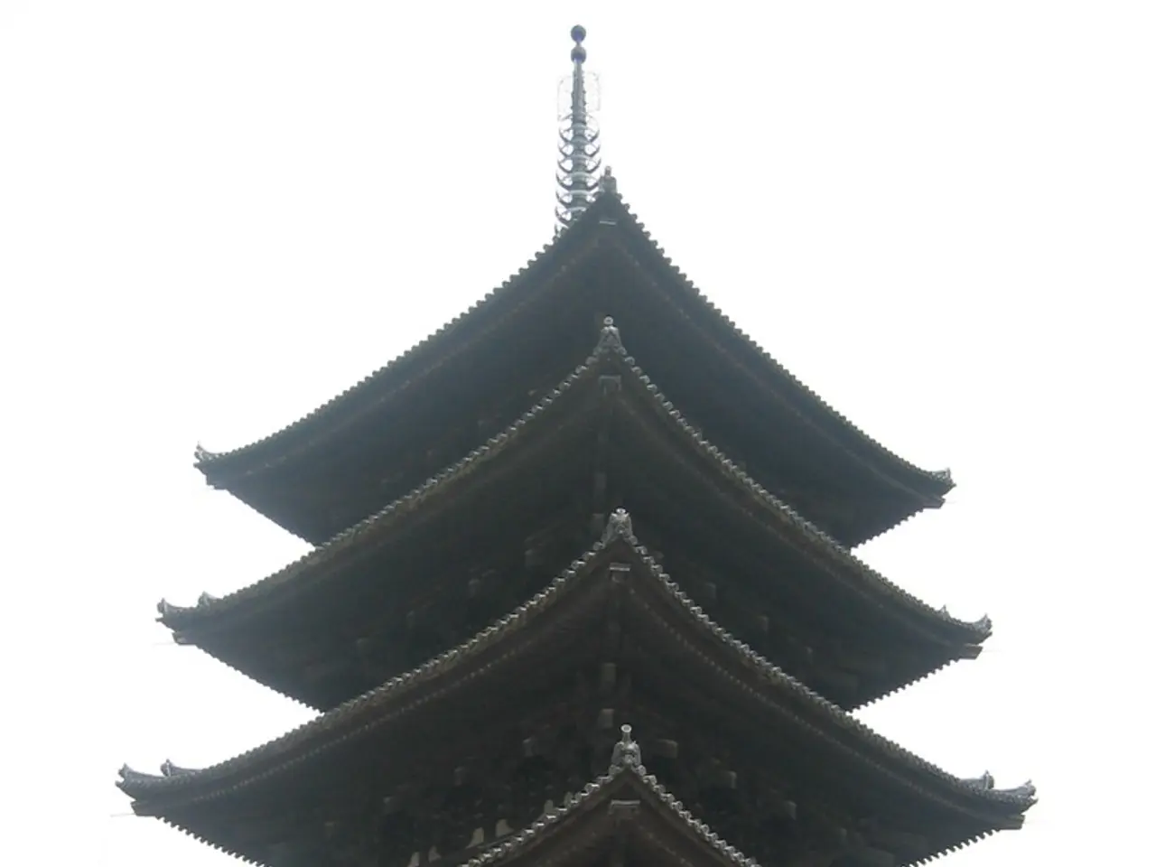 Financial forecast for the Year of the Dragon