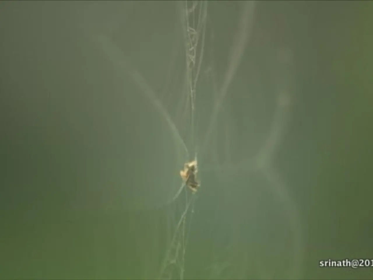 Enhanced Online Anonymity - Windscribe Improves Privacy Features in Chrome and Edge VPN Extensions