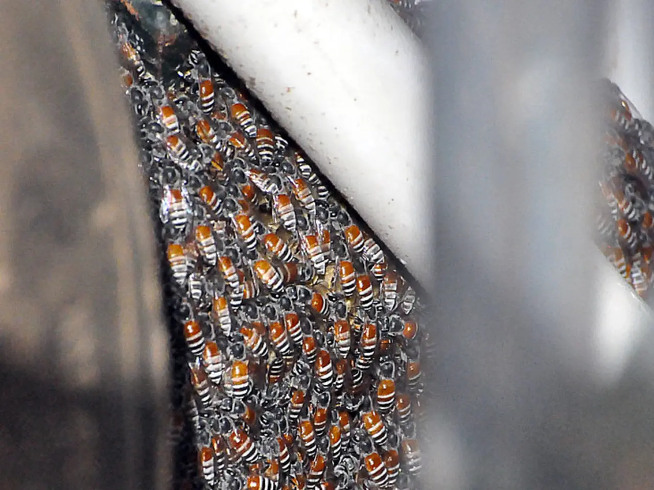 Comparing the Advantages and Disadvantages of HoneyBook versus Alternative Client Management...