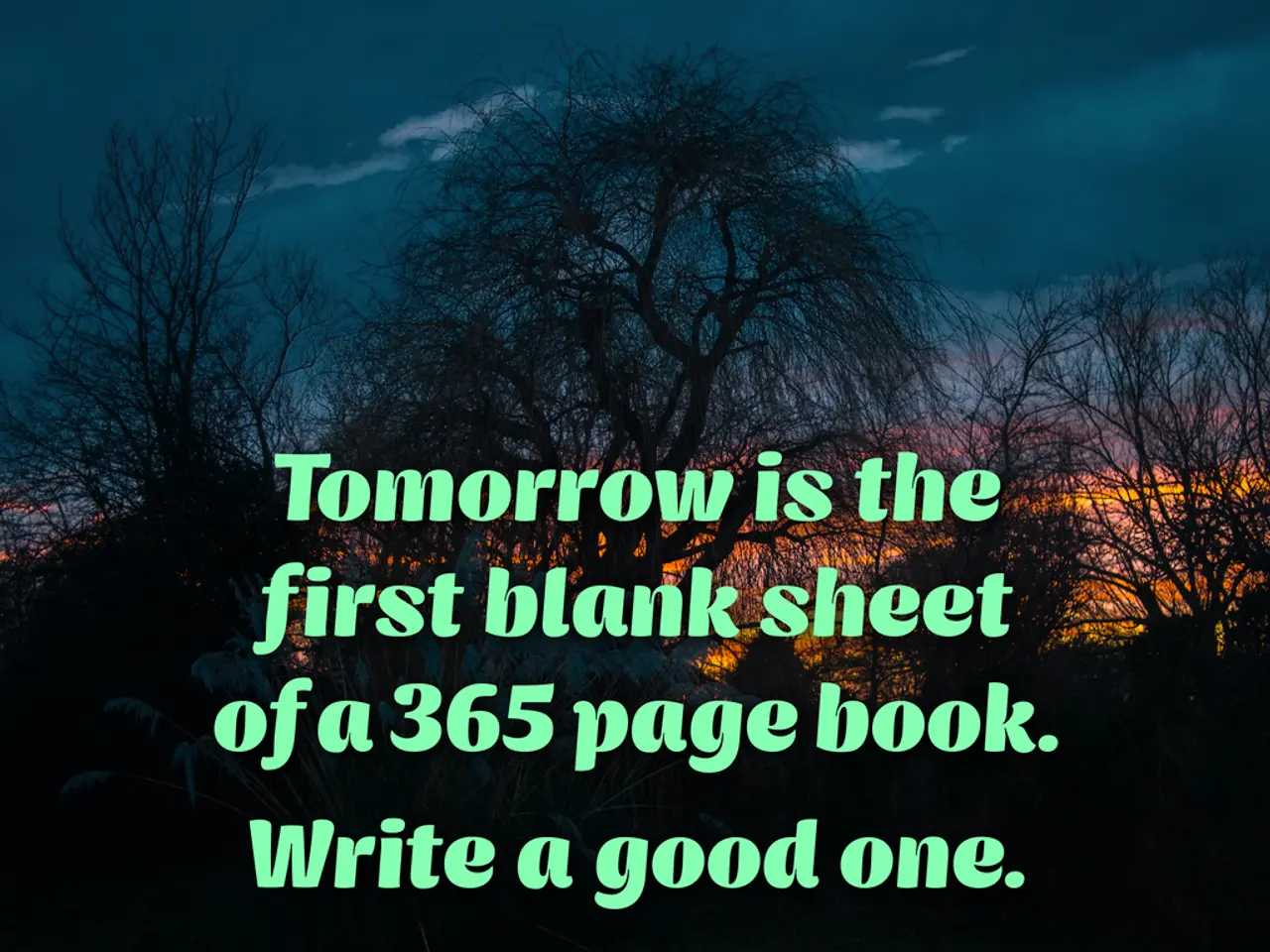 Essential Complimentary Screenwriting Tools Every Writer Must Explore