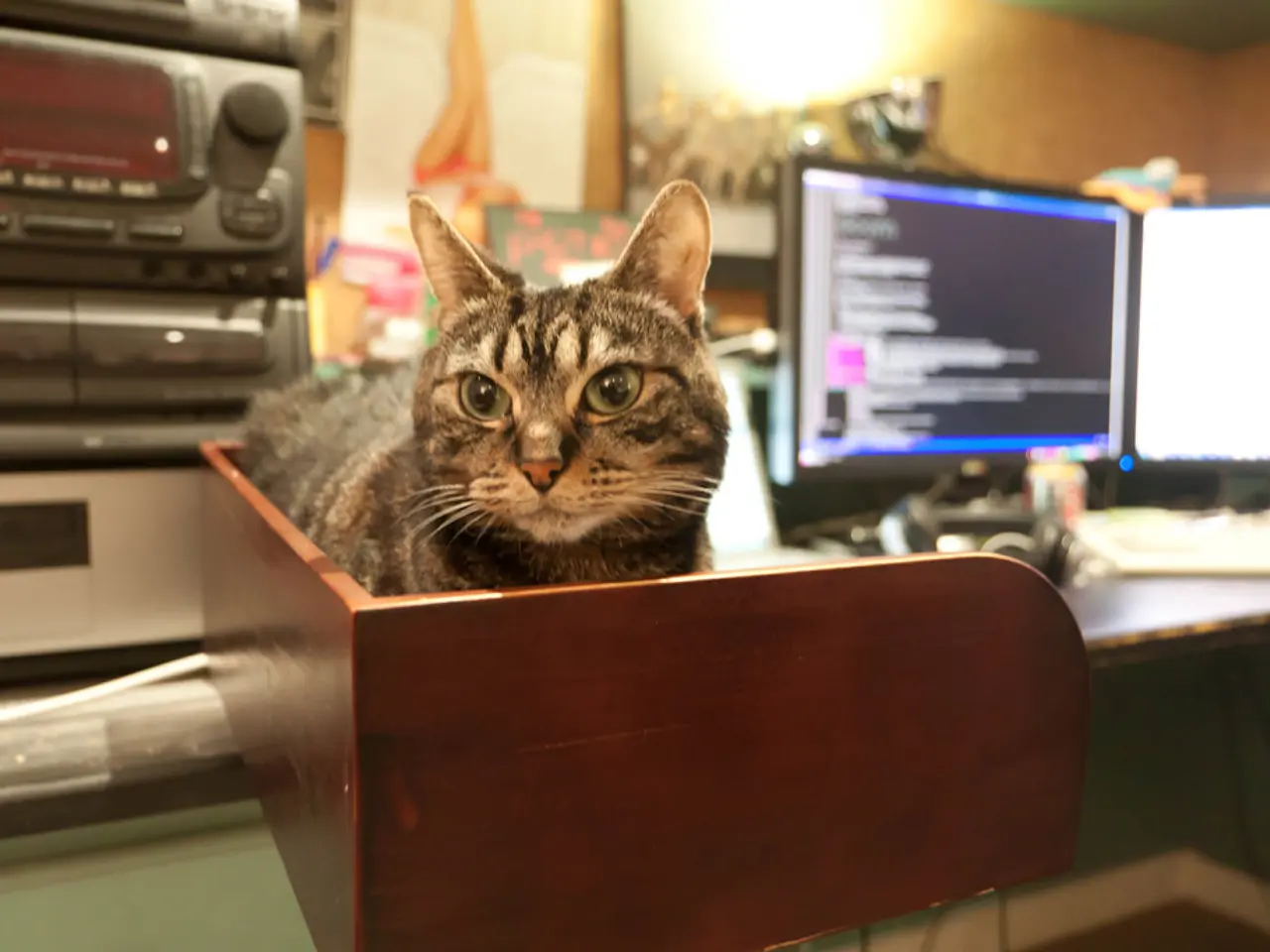 Over 25 years of Linux usage, still finding myself drawn to Ubuntu: understanding the allure