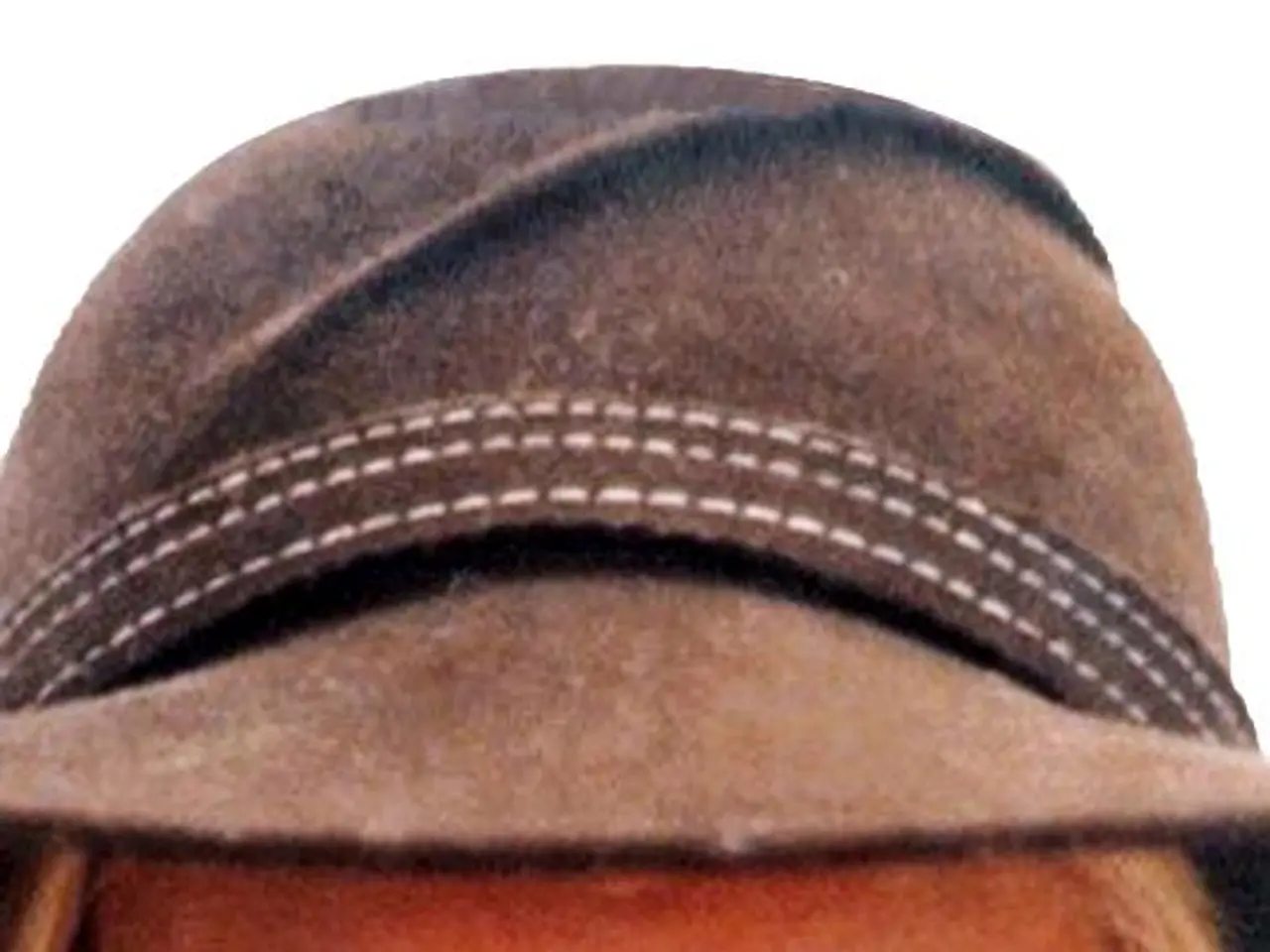 L&G introduces a mega-cap ETF based on the S&P 100 portfolio