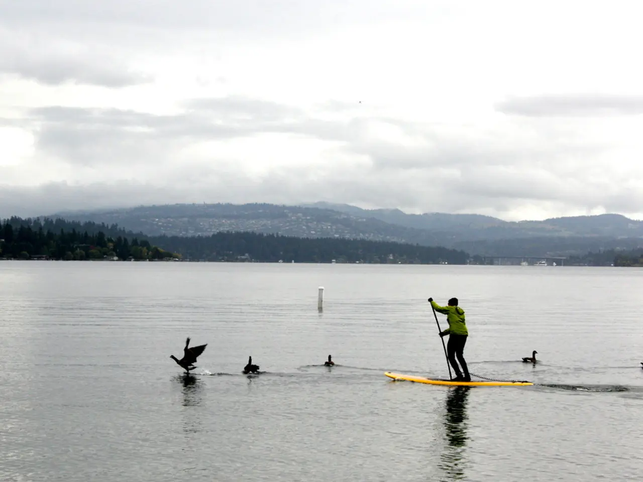 Enhances Antivirus Protection with a Refreshed Design and Complete ARM Compatibility: Surfshark...