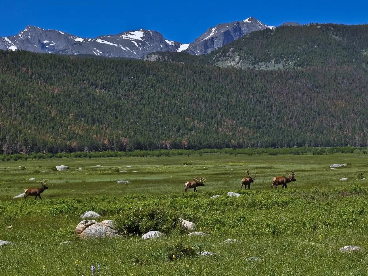 Evidence of possible ancient life on Mars discovered by NASA's rover; an analysis of the...