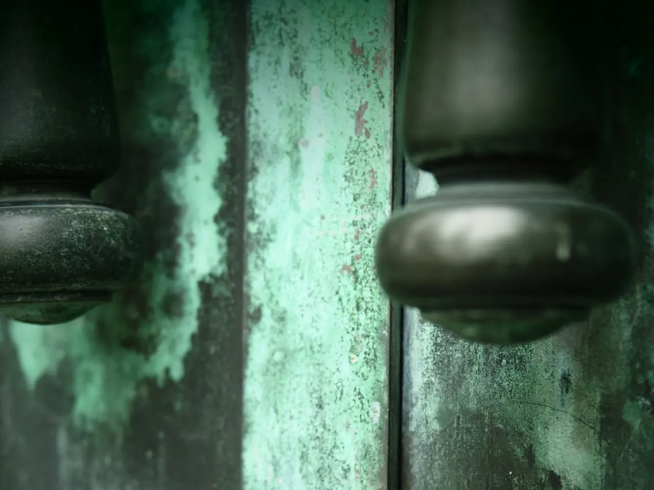 This is the picture of a door. In this image there are handles and there is a lock on the door.