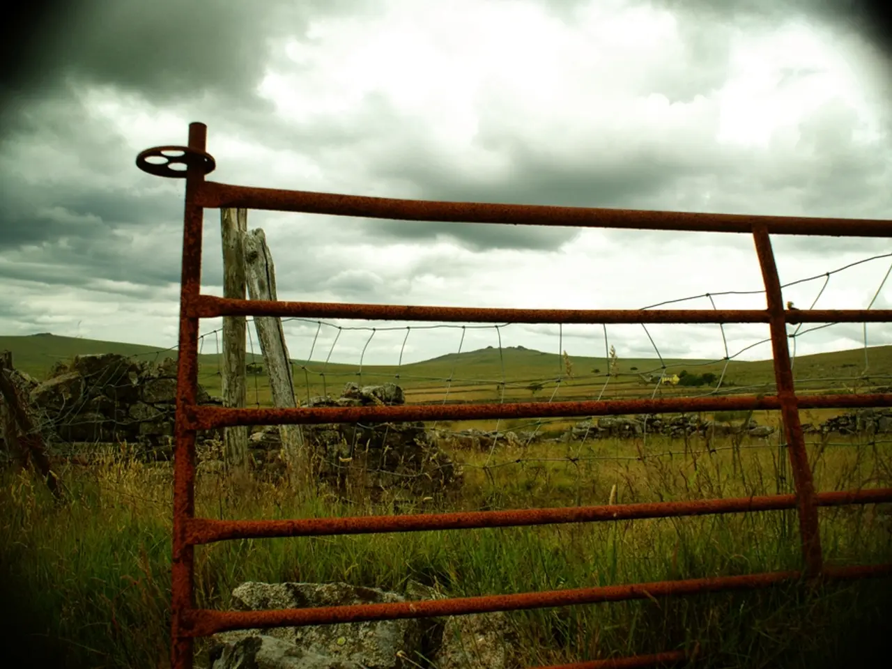 In this picture we can see the iron grilles and behind the grilles there are wooden poles, fence,...