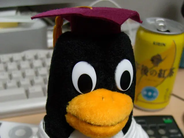 Pre-order locations for the forthcoming Switch 2 Donkey Kong Blitz amiibo