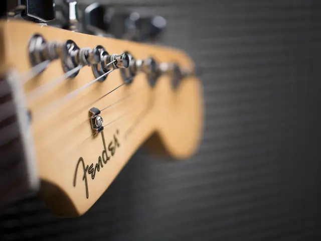 Strandberg and Plini collaborate on a special edition of the Boden Standard guitar, featuring a...