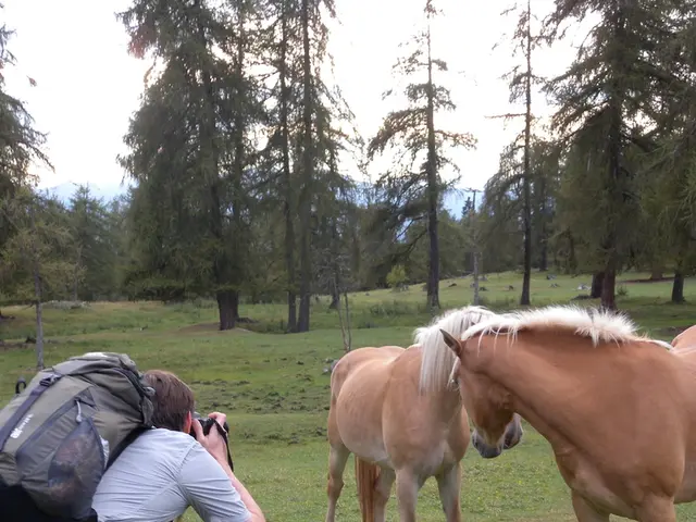 Specialty Camera Pack Rose from Think Tank, Crafted to Accommodate Long-Range Photography Lenses