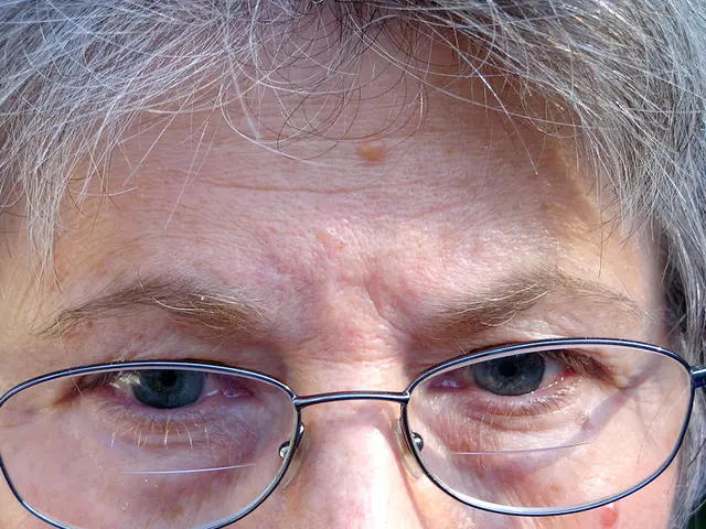 The distinction between Optical Zoom and Digital Zoom: An Explanation