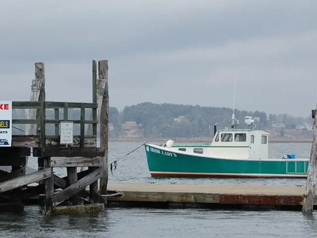 Guide for Installing Docker Engine and Docker Compose v2 on Alma Linux 9