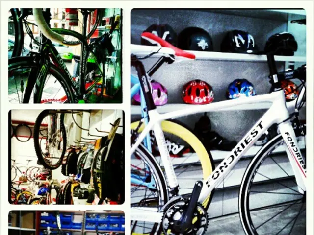 Review of Dual Length Stem (2025 Version)