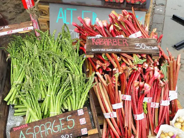 Market Size, Sharing, Growth Analysis, Report, and Forecast for Cellulose Fibers 2024-2032