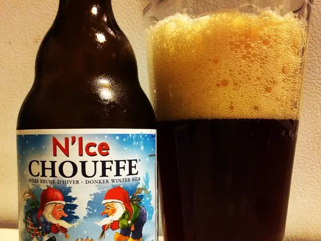 Clear Beer Production: Exploring Various Filtration Methods for an Ideal Beer Fermentation