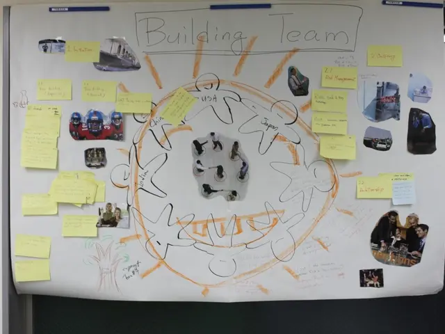 Displaying Wealth Inequality Patterns