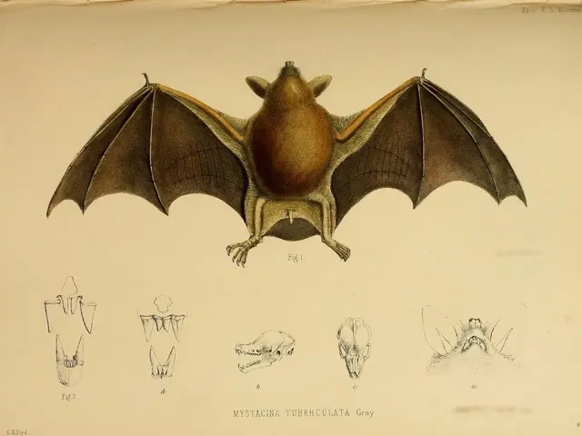 Ionic Mineral Technologies Secures Oversubscribed $29 Million Series B Funding for Expansion of US...