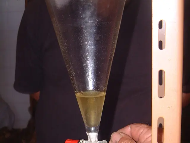 Brewing Basics: A Comprehensive Introduction to Stepping Mash