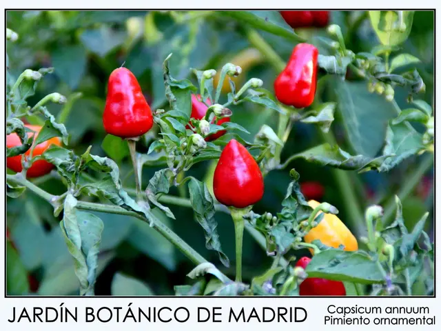 Mastering R Fundamentals: A Comprehensive Guide