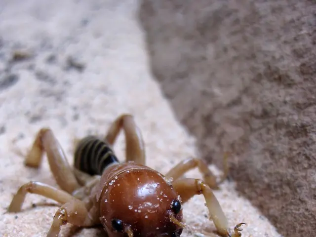 More than a quarter of virtual machines running on Amazon Web Services (AWS) are found to be...