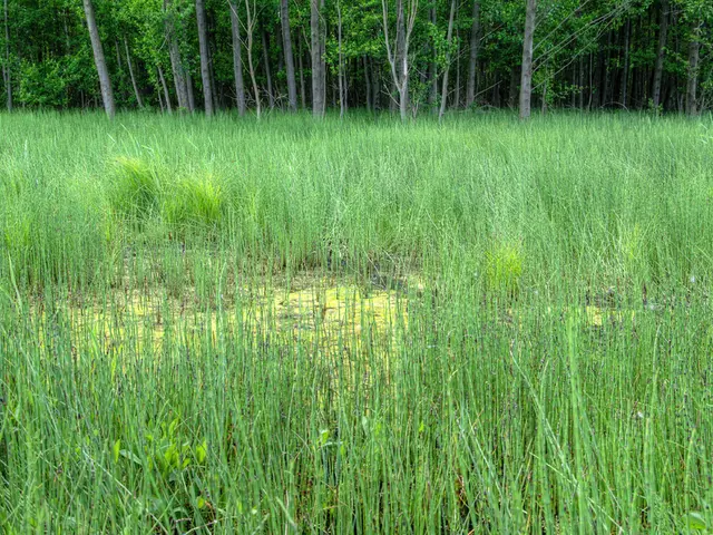 Struggling vertical farming business Vertical Future seeks new ownership following $13 million...