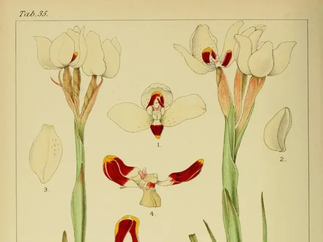 The eleventh edition of the magazine titled "No Bees, No Life" was released on our site.