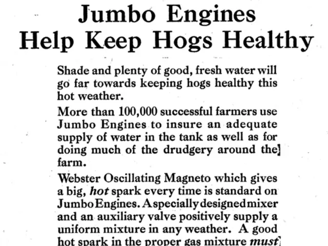 Exploring Strategies to Discover Vulnerabilities in Your Machine Learning Systems