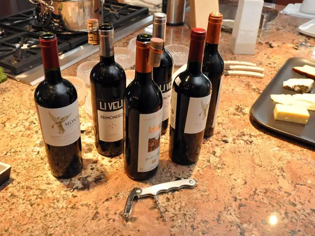 Bankr's AI-Blockchain Integration Efforts Given Support by Coinbase for Expansion