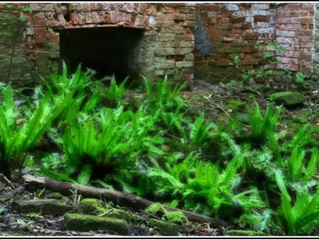 China demonstrates affordable nuclear power plant construction