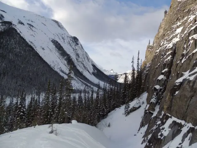 Unveiled: Cutting-edge 3D Modeling Software for a Revolutionized Building Experience