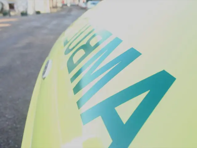 Energy Consult firm Profas partners with Energy Exemplar for the first time to model the hydrogen...