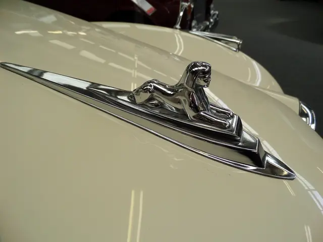 Jaguar's recent setbacks: an analysis