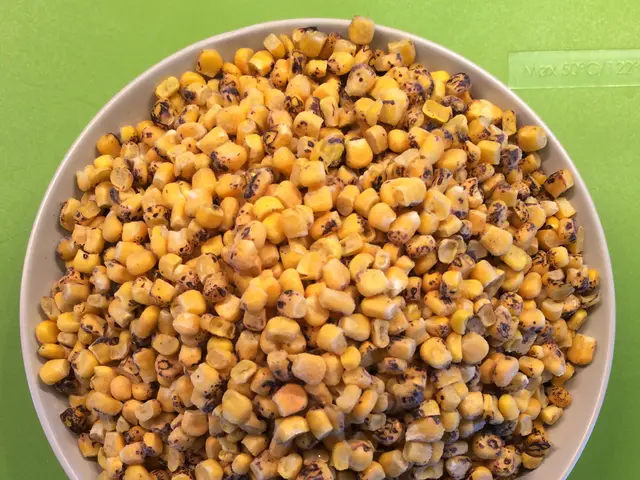 Expanded Wheat Seeds Market Forecasted to Reach USD 8.5 Billion by 2034