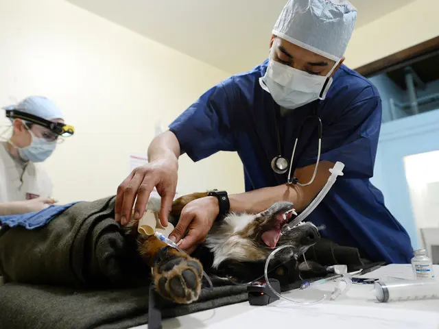 Pharmaceutical sector embraces software instead of animals for testing purposes