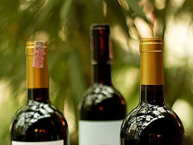 PacBio Unveils Strategy to Enhance Methylation Detection in HiFi Chemistry Analysis