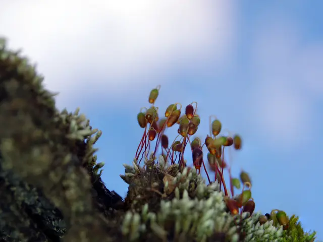 Planet Saturn enthusiasts, get ready. This month, as the night sky darkens, Saturn will experience...