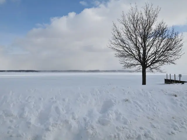 Weather App Blunder Clarified: Understanding Errors to Steer Clear of - Expert's Guidance