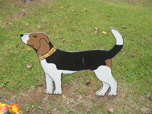 Dogecoin (DOGE) Price Trial at $0.19 Happens post 30% Fall from July Peak