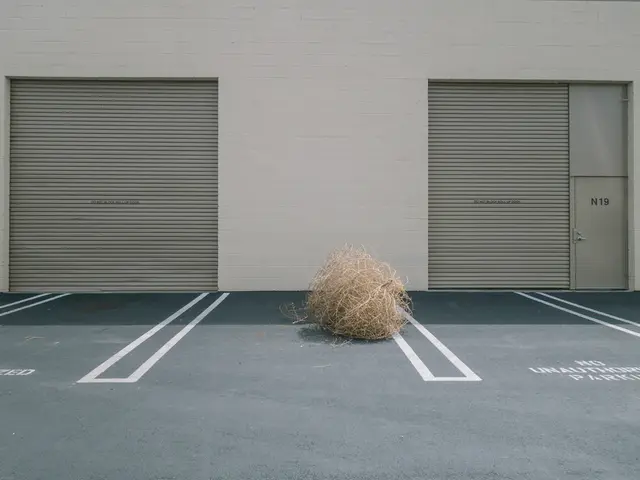 Expanded Fibre Optic Network Installation in Gaggenau: Technical Hubs Established in Two Regional...