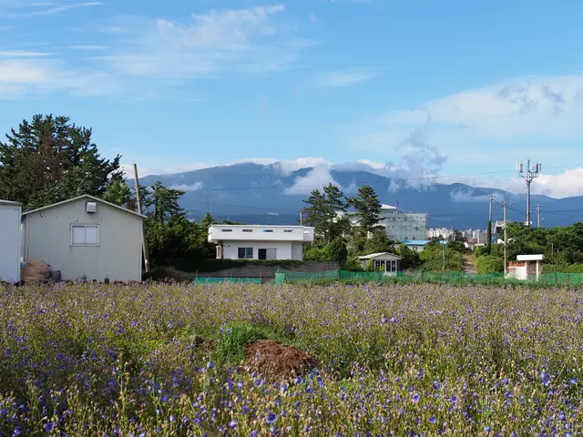 Utilizing Solar Energy: Investigating Sustainable Power Sources