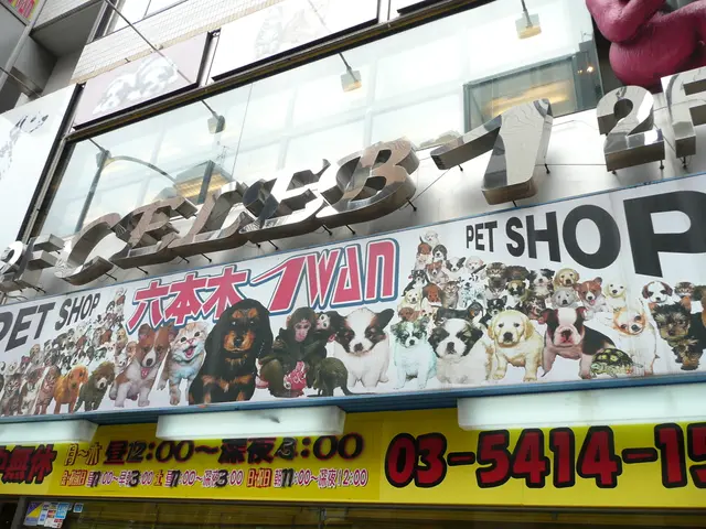 Exploring the Emotional Resonance and Historical Importance of WPA National Park Poster Designs