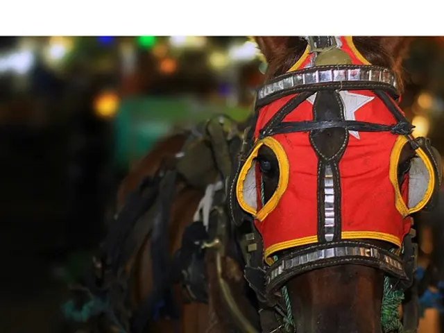 Access granted to Nova Credit's 'Credit Passport' by Entrata, aiming to enhance residential housing...