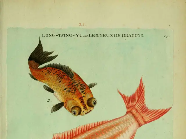 Satellite Tracking: The SHARC Tagging System in Action