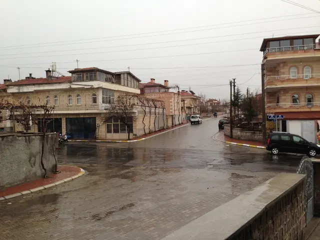 Buyers flock EV markets as Trump discontinues $7,500 tax incentive: Analyst remarks, 'It's a mad...