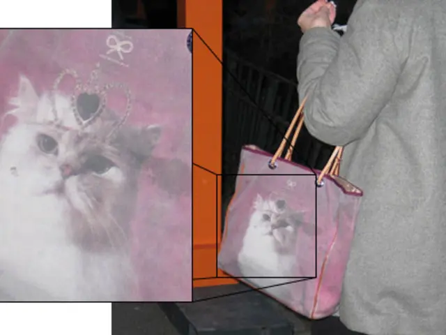 Creator of Nyan Cat Laments Meme Coins as Wild West, Alleges $700K in Fees Yet Denies Endorsement