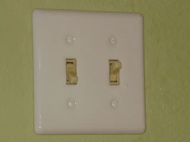 High-performance Ethernet Network Switch Devices for Enhanced Data Transmission