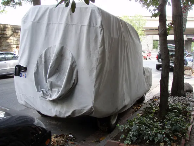 Artificial Intelligence and Machine Learning Contributing to Efficiency in Almy Magalhaes's Fleet...