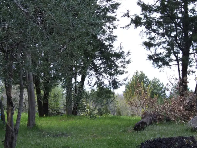 Microsoft's expanded security logs, according to CISA officials, have led to enhanced threat...